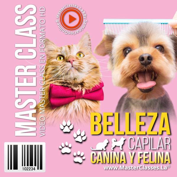 Belleza capilar canina y felina