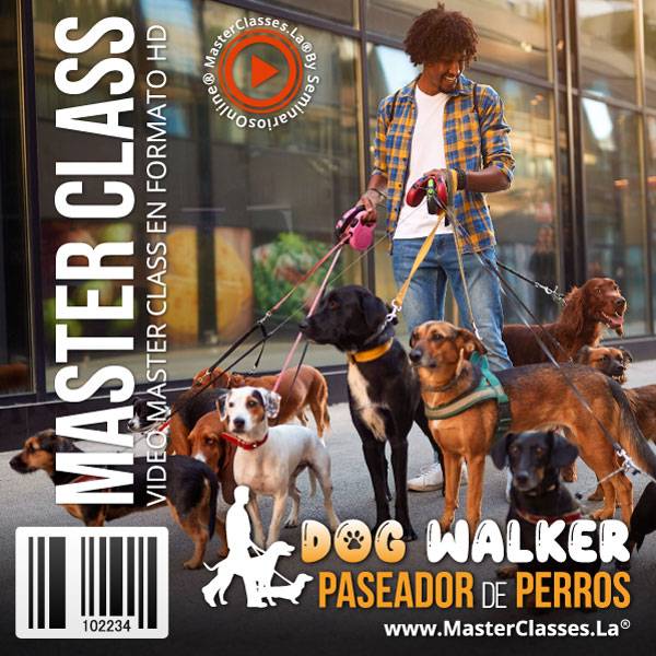 Dog Walker Paseador de Perros