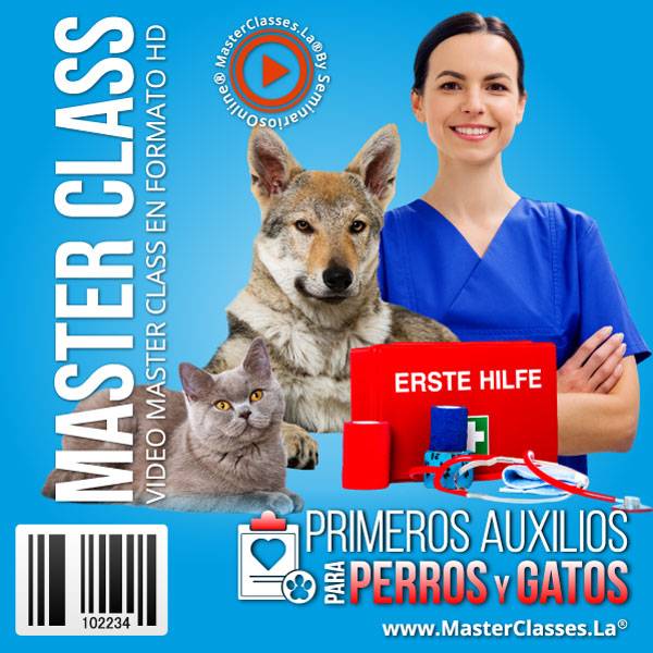 Primeros auxilios para perros y gatos