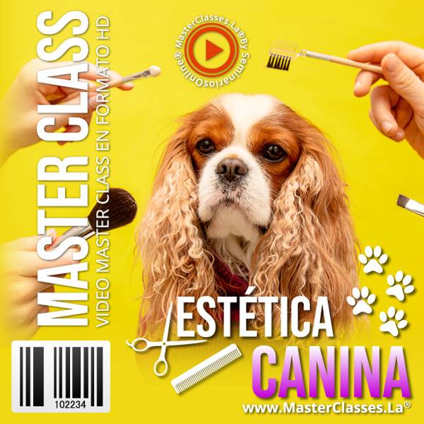 estética canina