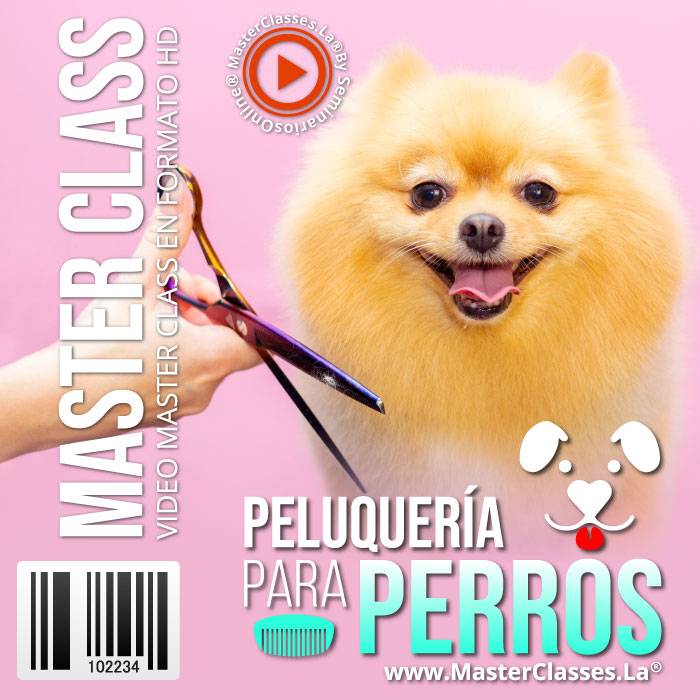 peluquería canina