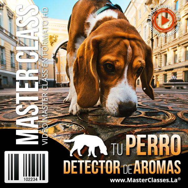 perro detector de aromas